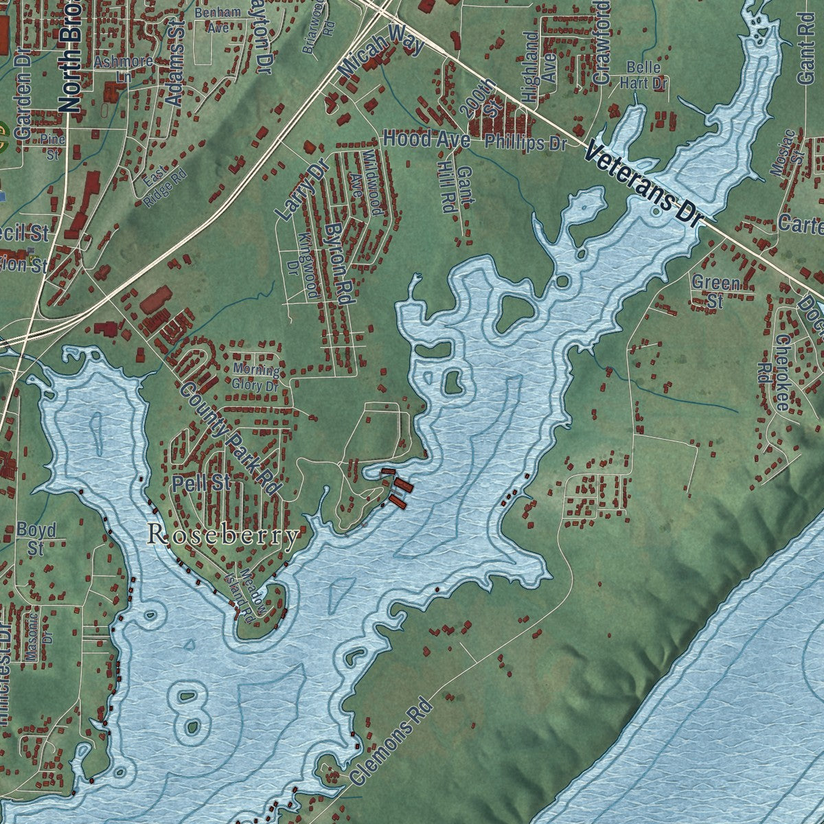 Close-up of the map of Scottsboro, Alabama print showing street and building detail