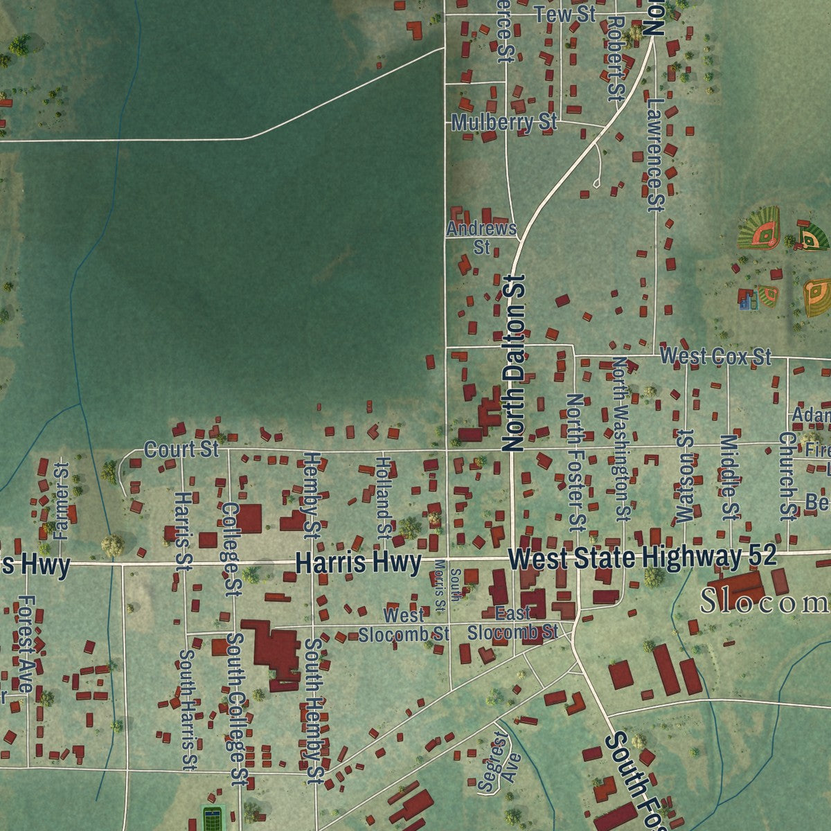 Close-up of the map of Slocomb, Alabama print showing street and building detail