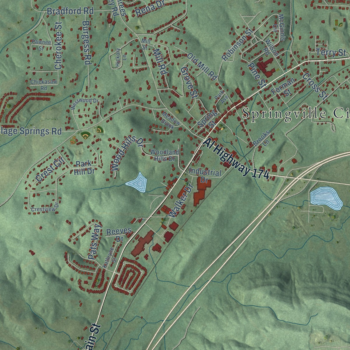Close-up of the map of Springville, Alabama print showing street and building detail