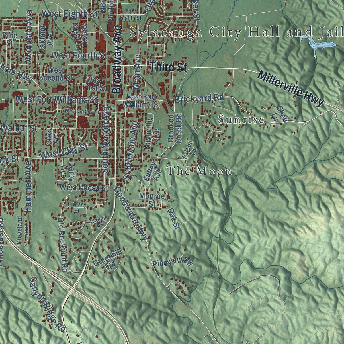 Close-up of the map of Sylacauga, Alabama print showing street and building detail