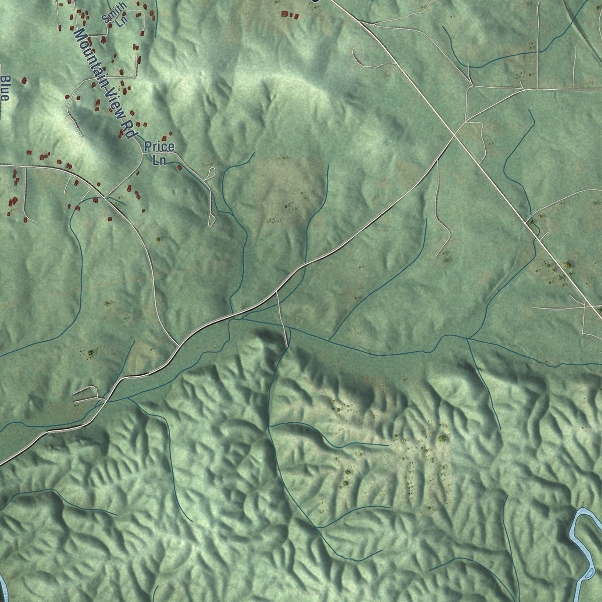 Second close-up of the map of Talladega, Alabama print showing more streets and buildings