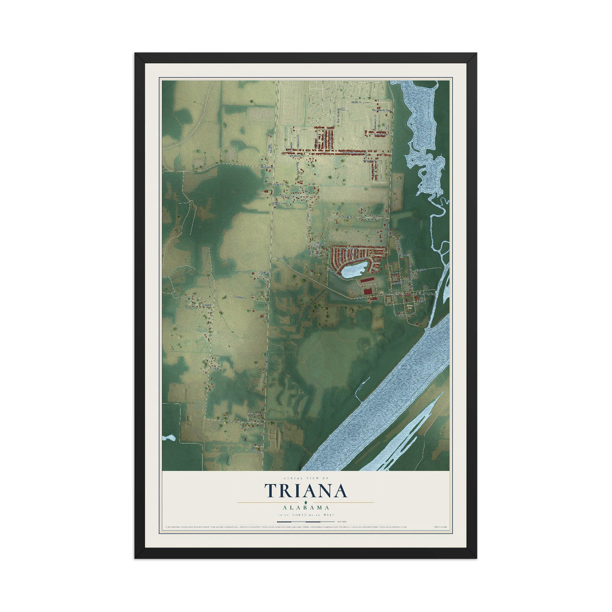 Map of Triana, Alabama, 12 x 18 inch print in a black wood frame