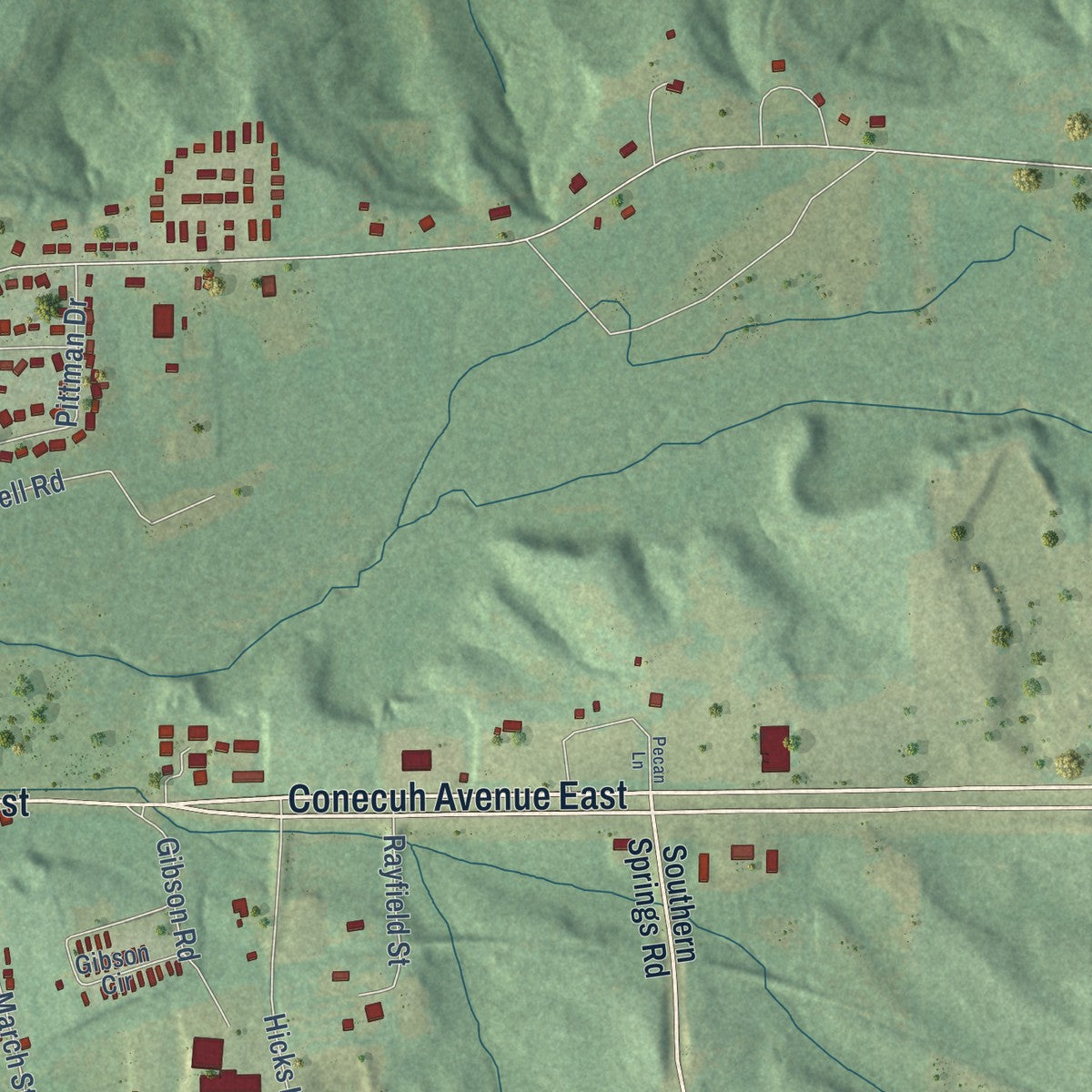 Second close-up of the map of Union Springs, Alabama print showing more streets and buildings