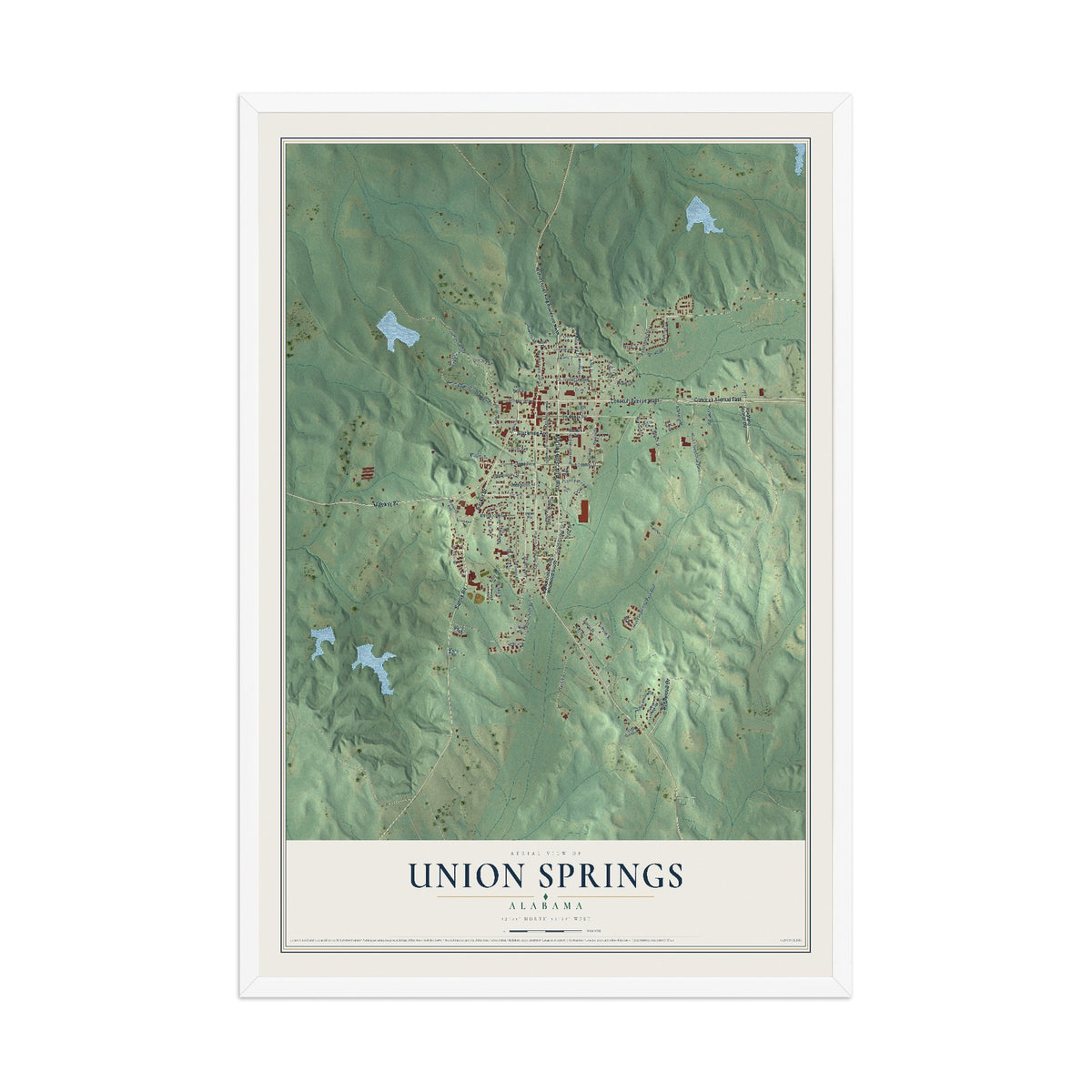 Map of Union Springs, Alabama, 12 x 18 inch print in a white wood frame
