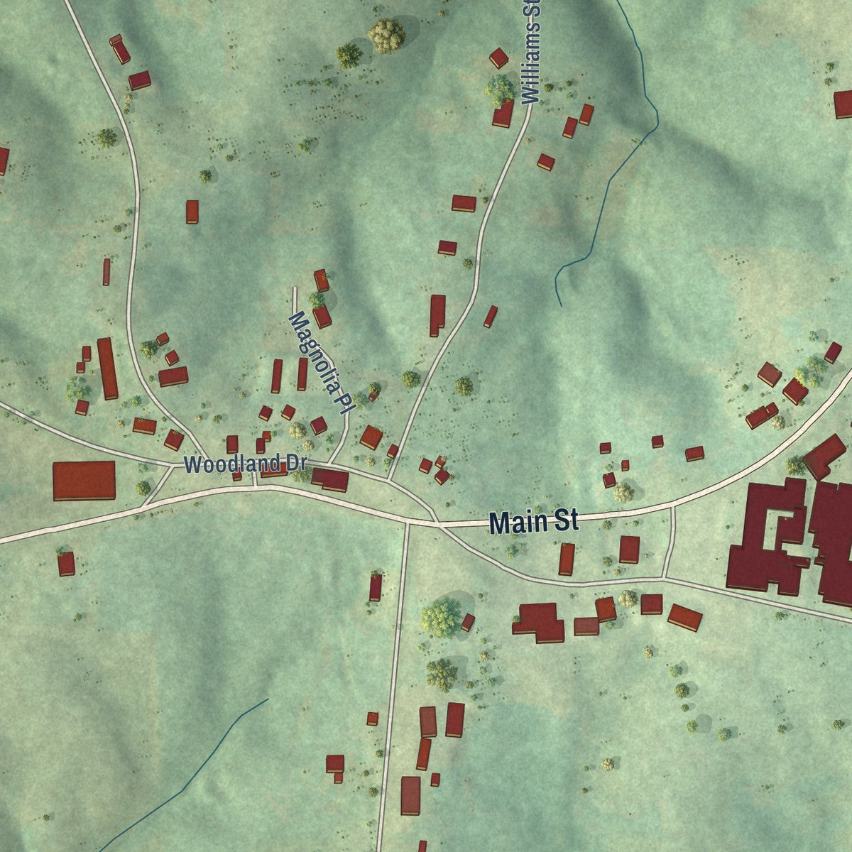 Close-up of the map of Woodland, Alabama print showing street and building detail