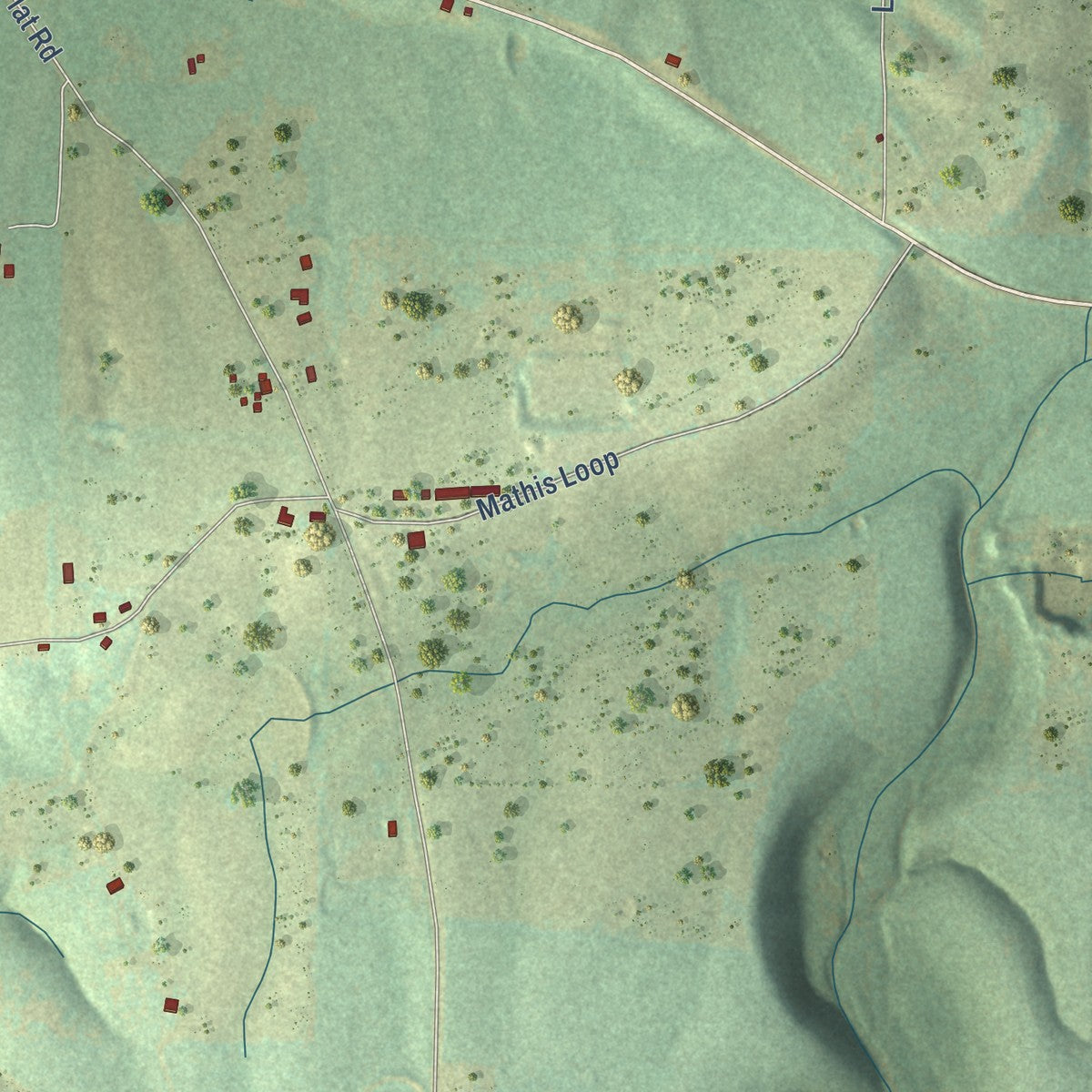 Close-up of the map of Appleton, Arkansas print showing street and building detail