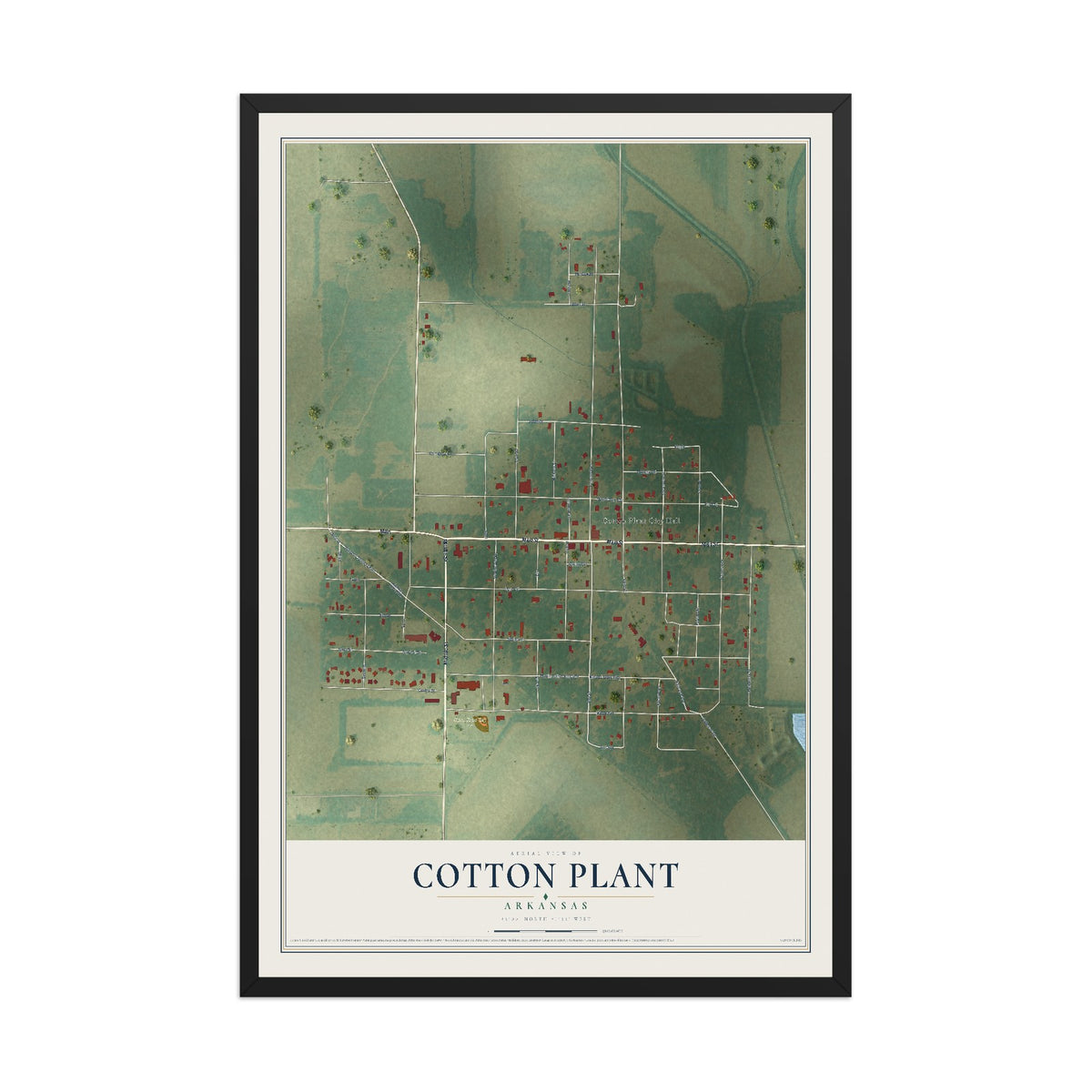 Map of Cotton Plant, Arkansas, 12 x 18 inch print in a black wood frame