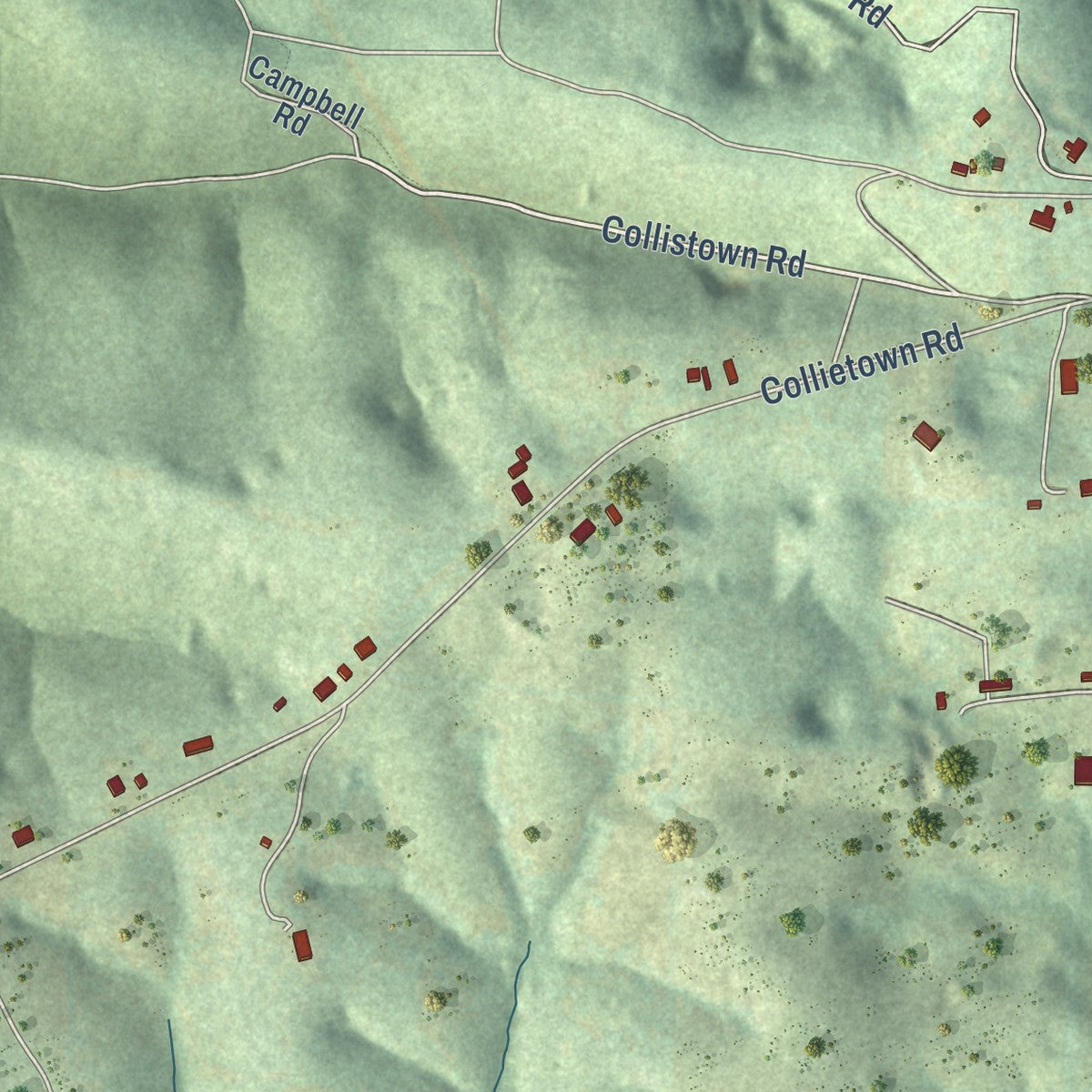 Second close-up of the map of Cushman, Arkansas print showing more streets and buildings