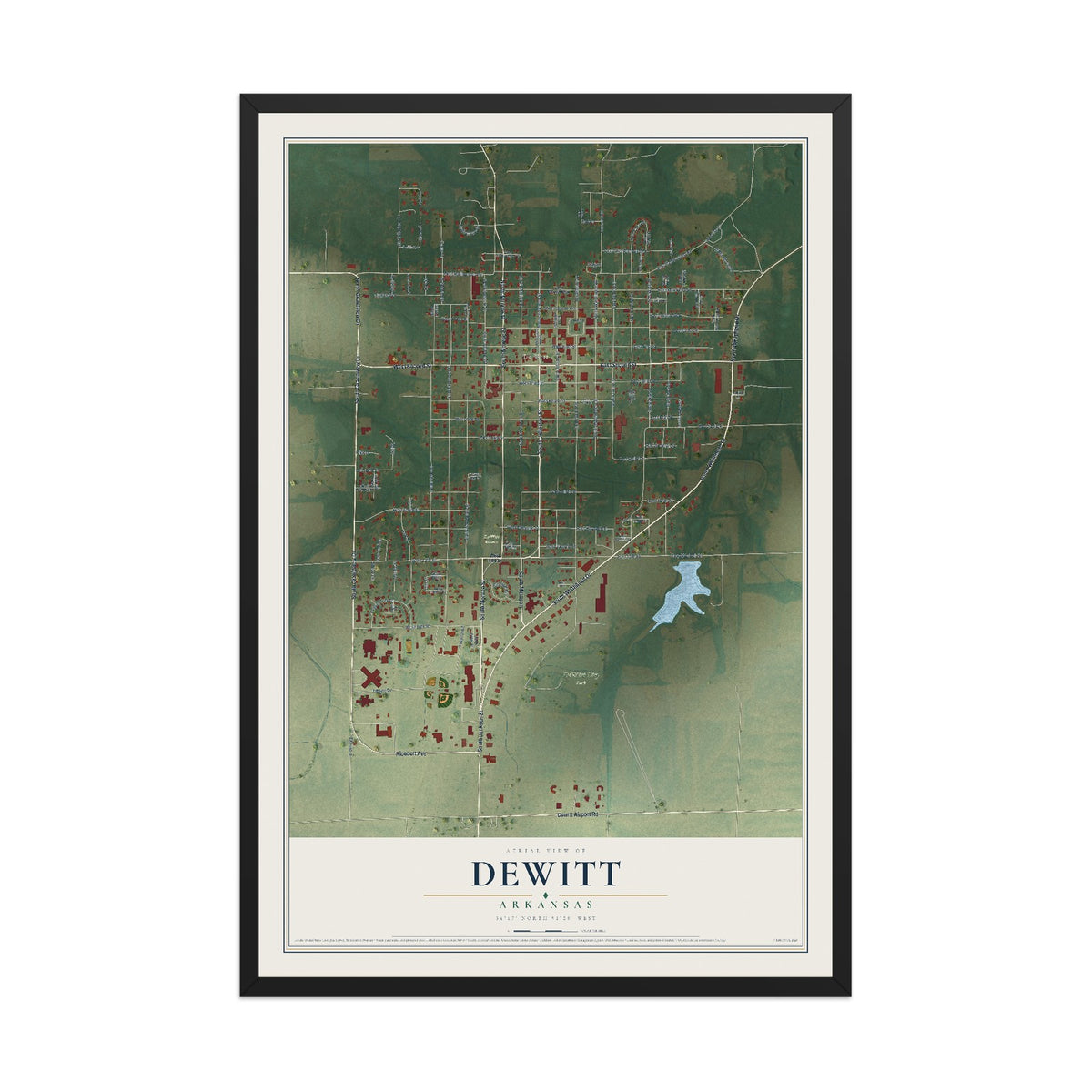 Map of DeWitt, Arkansas, 12 x 18 inch print in a black wood frame