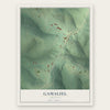 Gamaliel, Arkansas map print, the full design