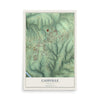 Map of Gassville, Arkansas, 12 x 18 inch unframed archival matte print
