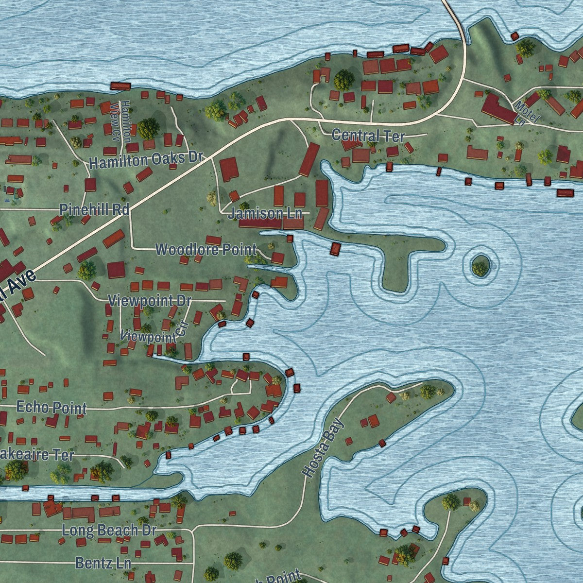 Close-up of the map of Lake Hamilton, Arkansas print showing street and building detail