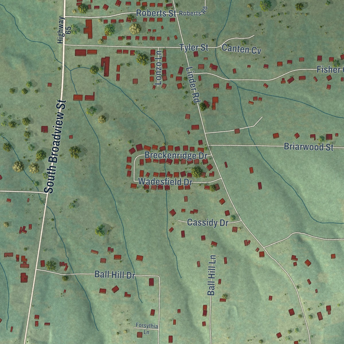 Close-up of the map of Springhill, Arkansas print showing street and building detail