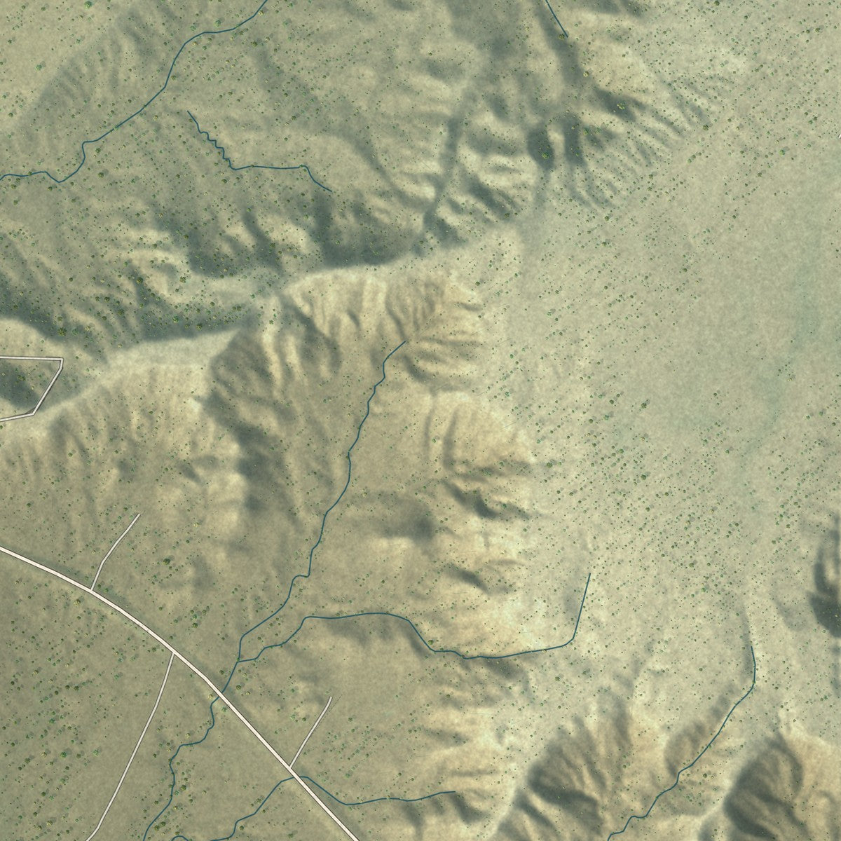 Close-up of the map of Burnside, Arizona print showing street and building detail