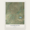 Cactus Flats, Arizona map print, the full design