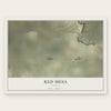 Red Mesa, Arizona map print, the full design