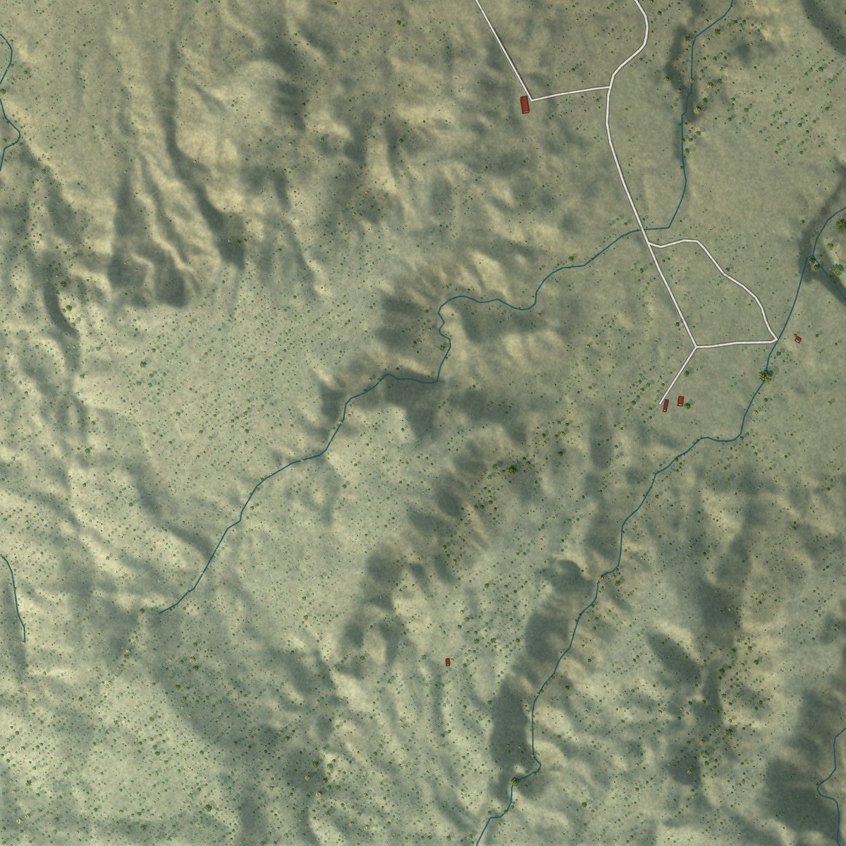 Close-up of the map of Rough Rock, Arizona print showing street and building detail