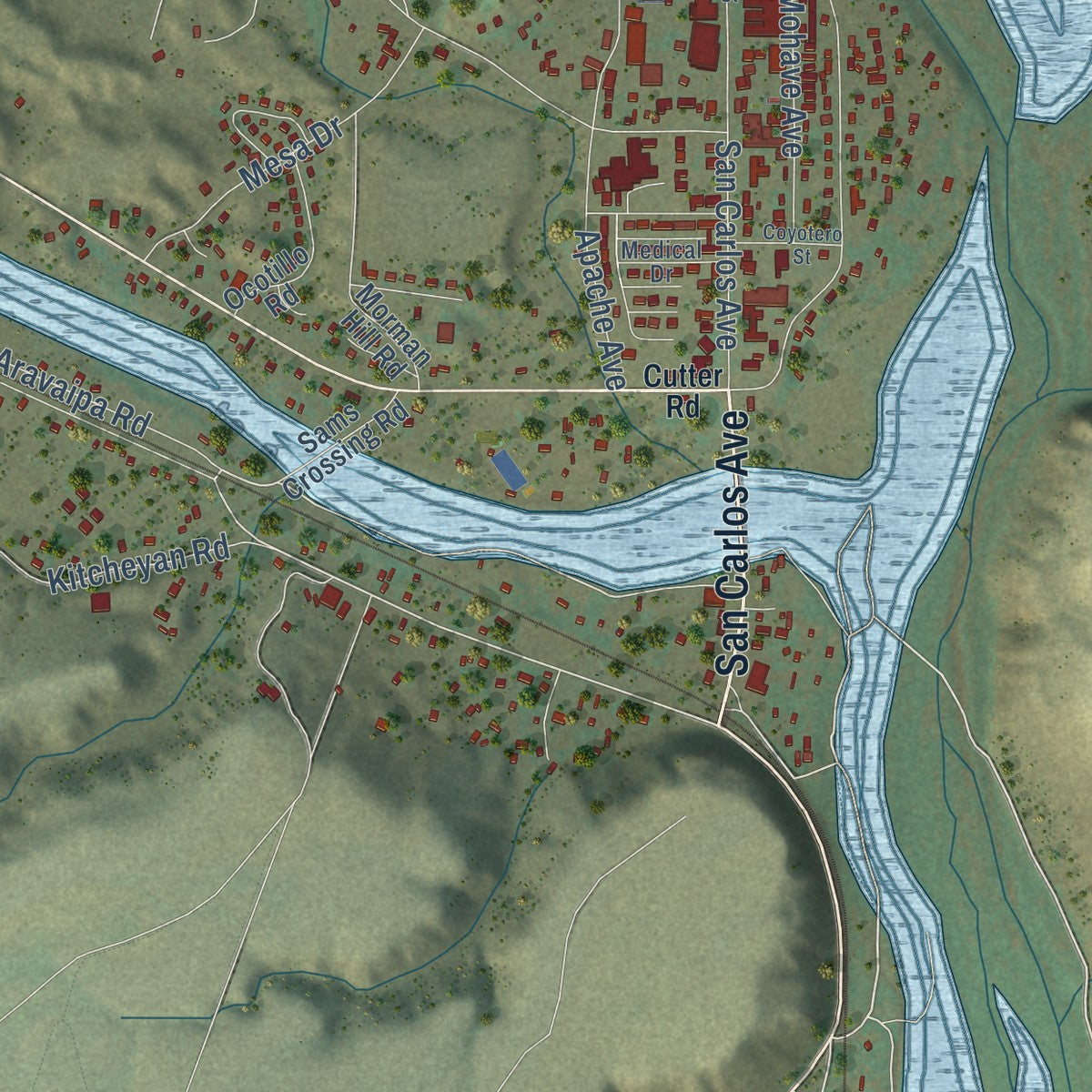 Close-up of the map of San Carlos, Arizona print showing street and building detail
