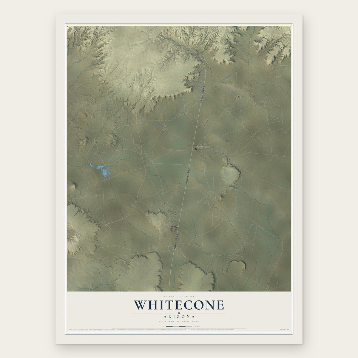Whitecone, Arizona map print, the full design