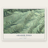 Amador Pines, California map print, the full design
