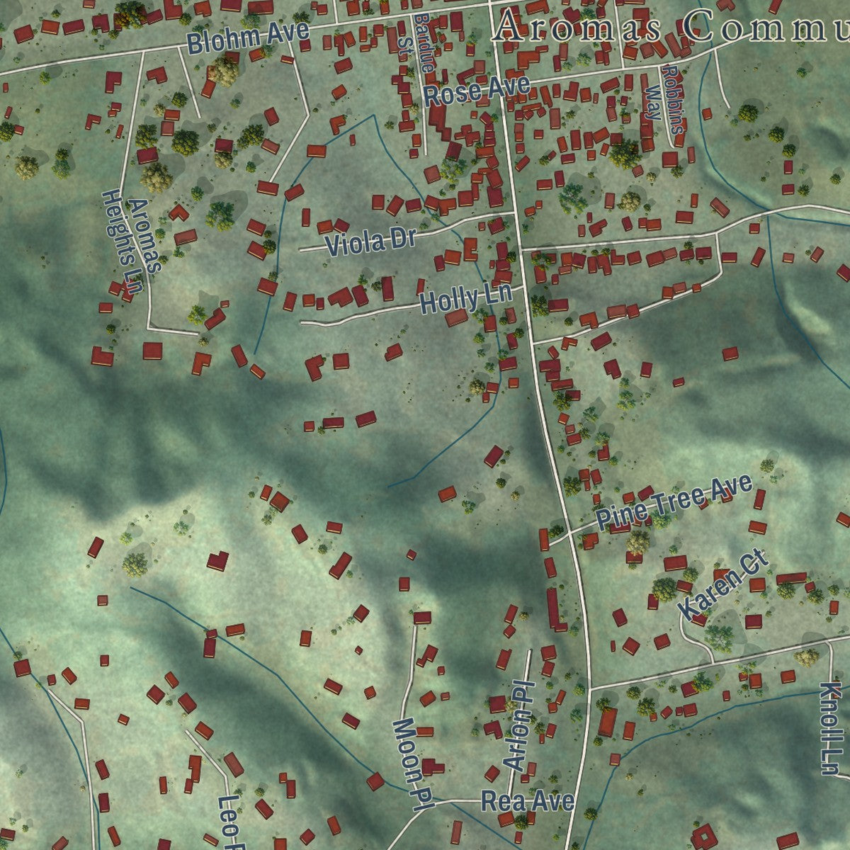 Close-up of the map of Aromas, California print showing street and building detail