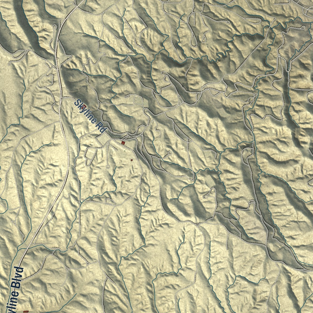 Close-up of the map of Avenal, California print showing street and building detail