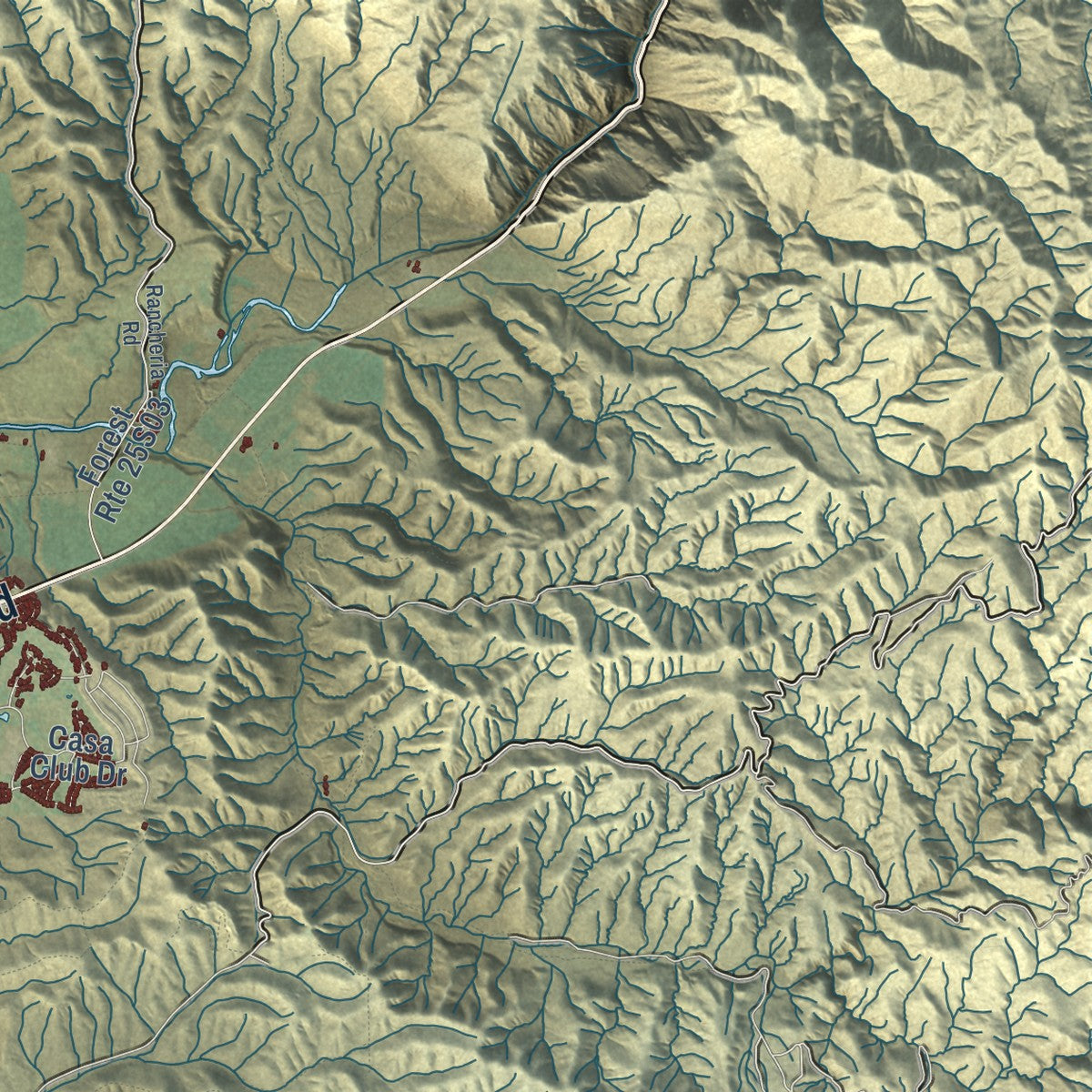Close-up of the map of Bakersfield, California print showing street and building detail