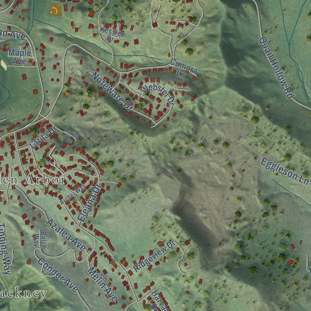 Close-up of the map of Ben Lomond, California print showing street and building detail