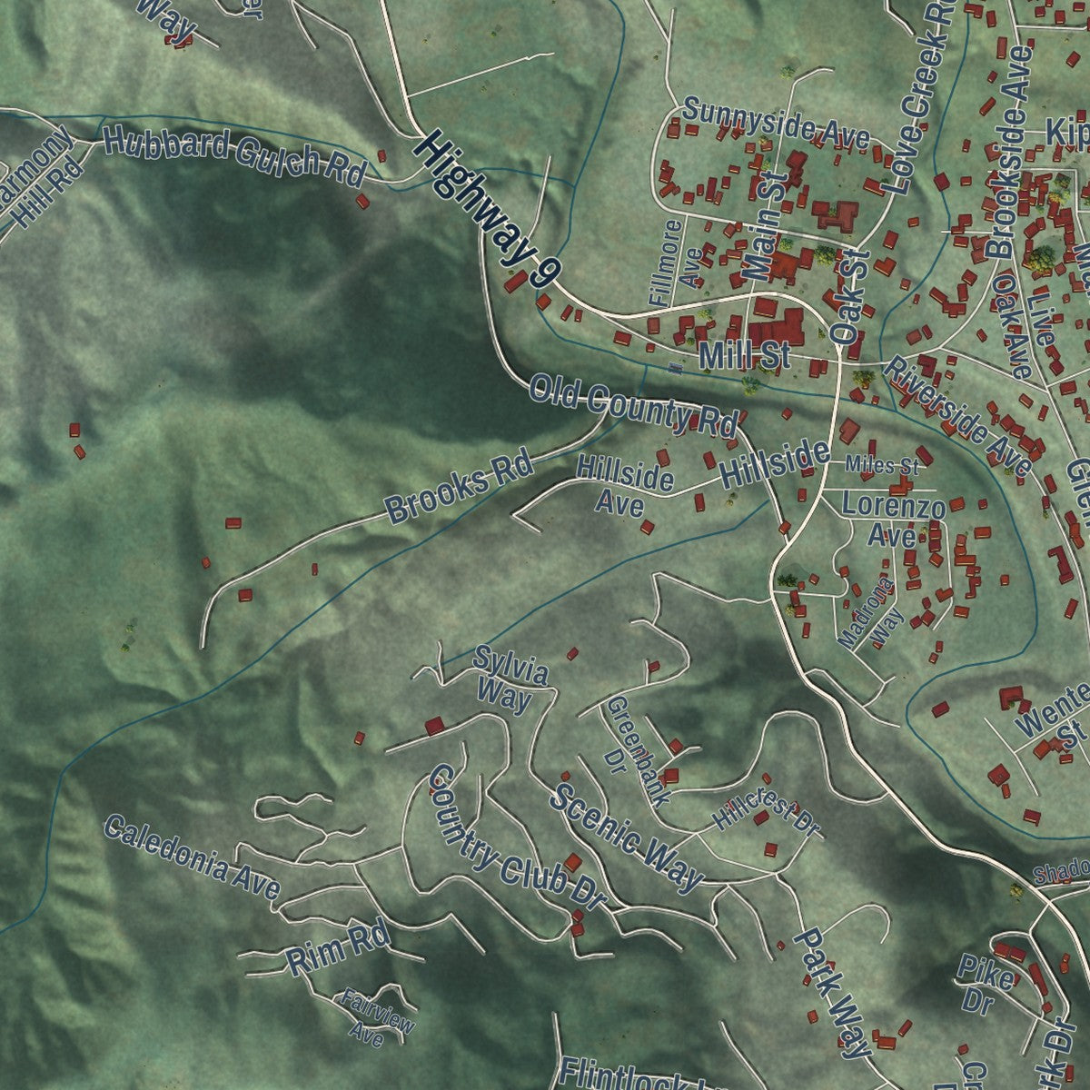 Second close-up of the map of Ben Lomond, California print showing more streets and buildings
