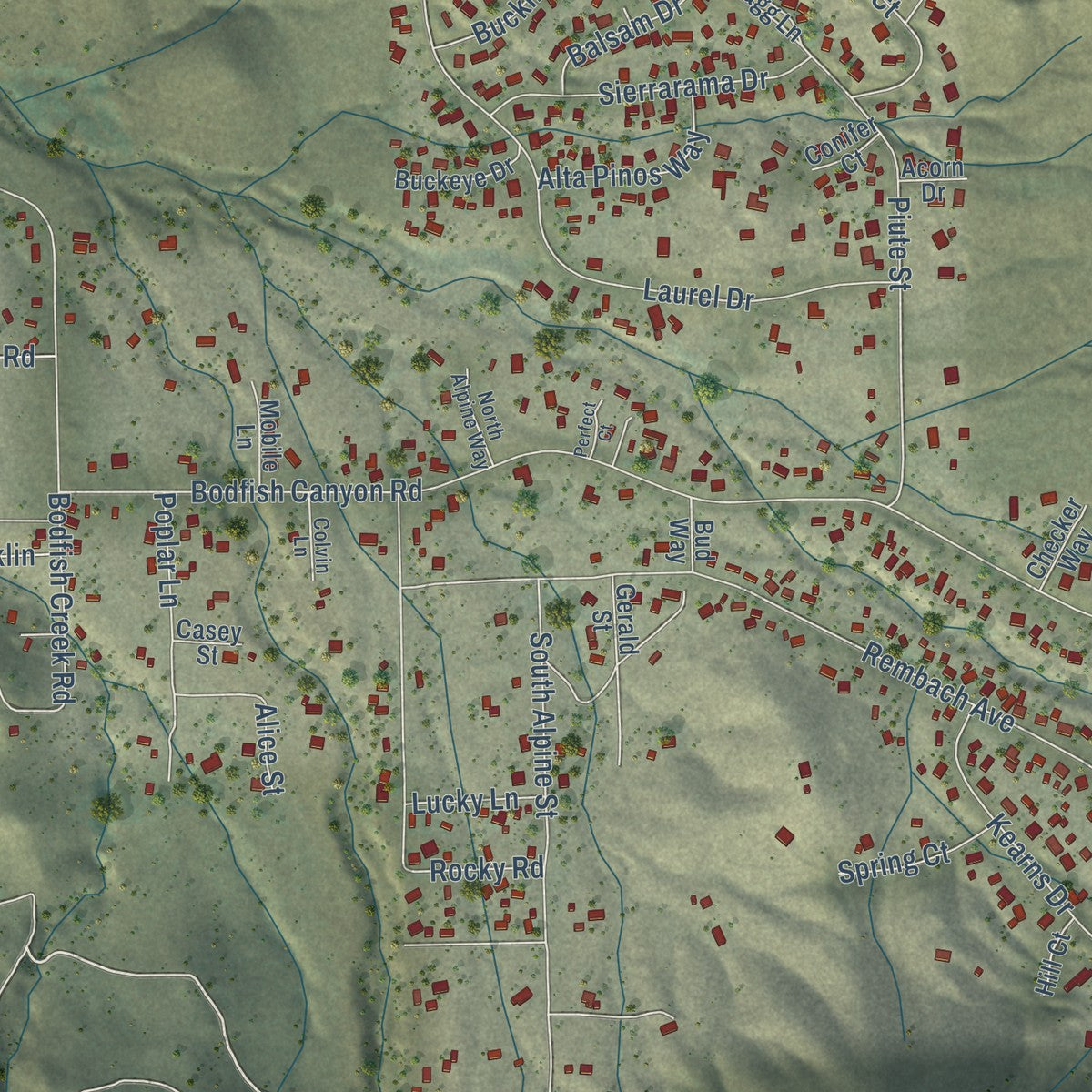 Close-up of the map of Bodfish, California print showing street and building detail