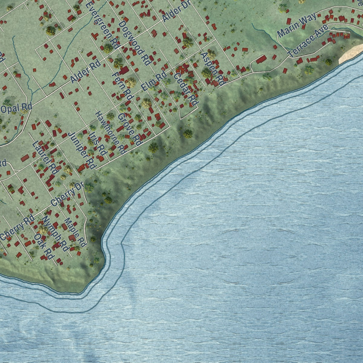 Close-up of the map of Bolinas, California print showing street and building detail