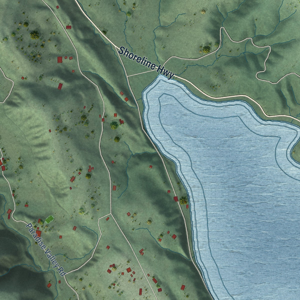 Second close-up of the map of Bolinas, California print showing more streets and buildings