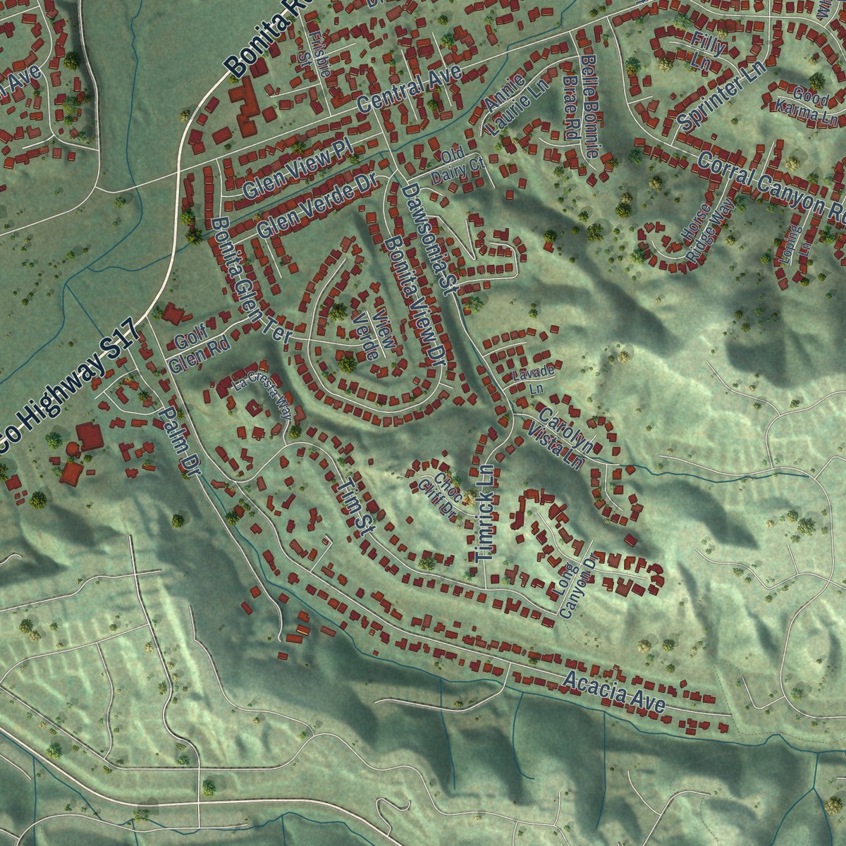 Close-up of the map of Bonita, California print showing street and building detail