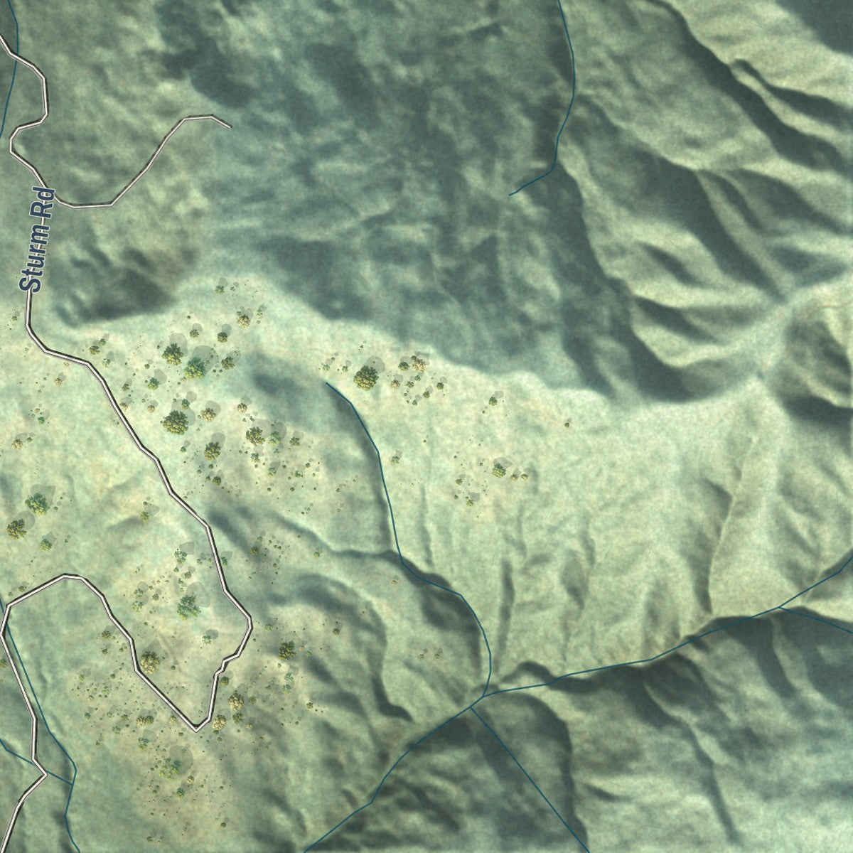 Close-up of the map of Bridgeville, California print showing street and building detail