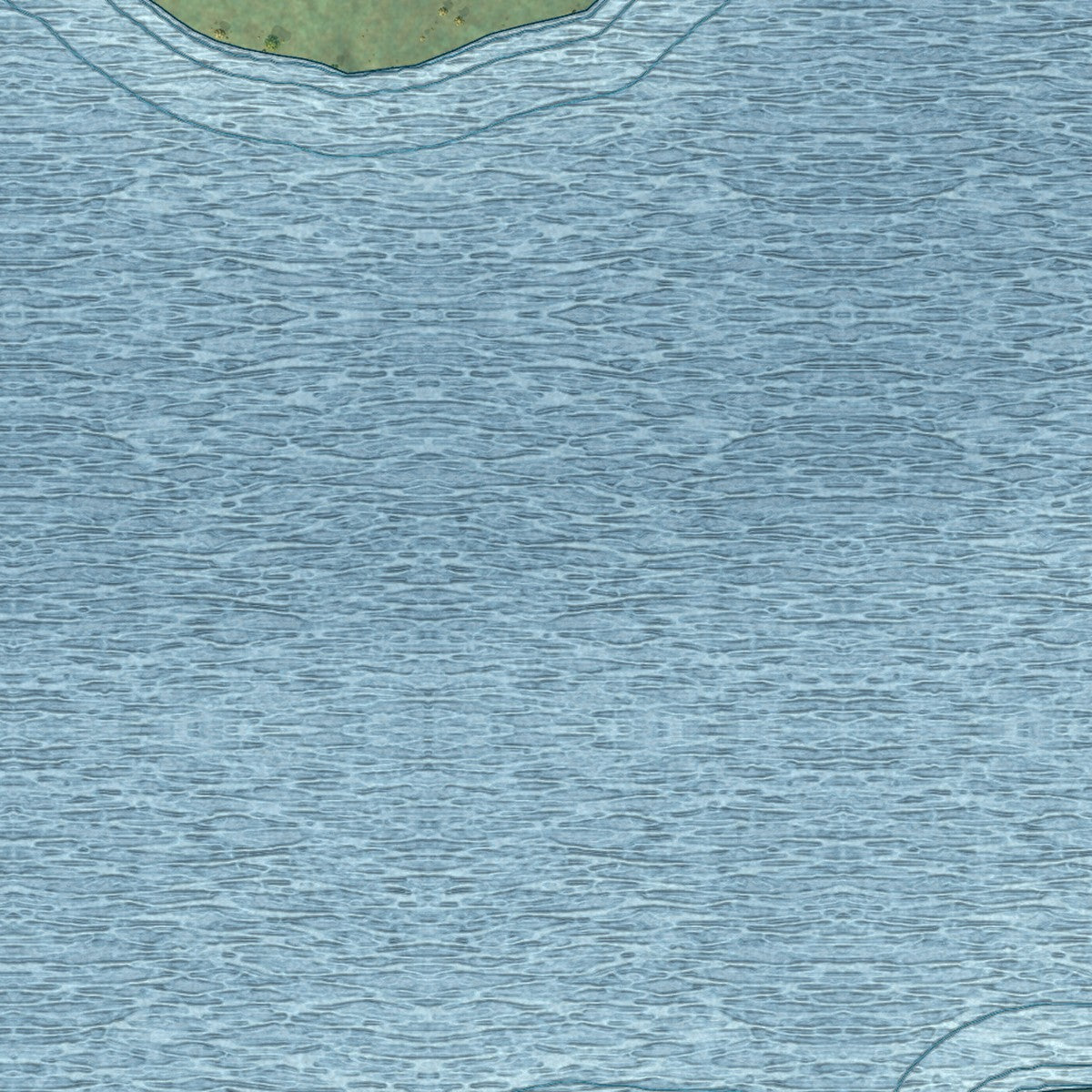 Close-up of the map of Bucks Lake, California print showing street and building detail