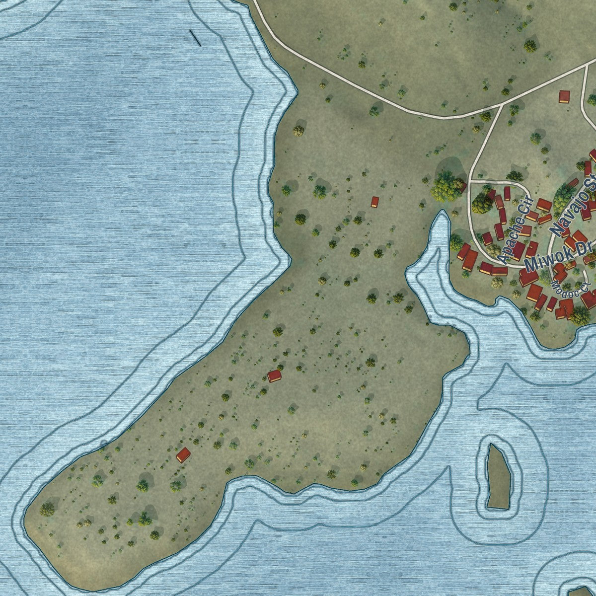 Close-up of the map of Camanche North Shore, California print showing street and building detail
