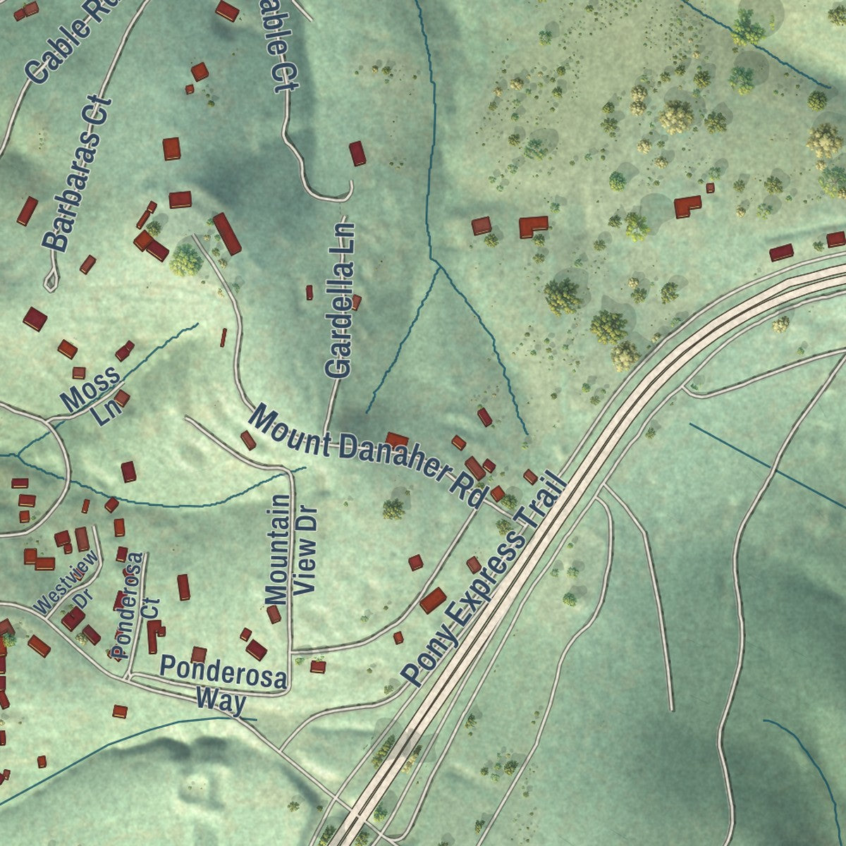Close-up of the map of Camino, California print showing street and building detail