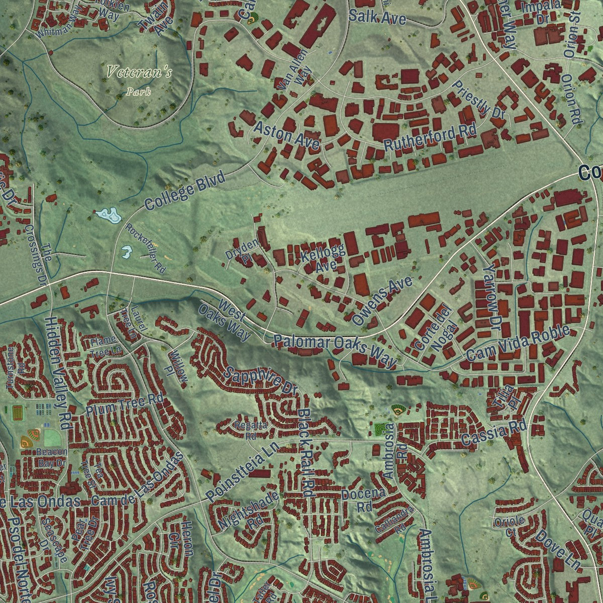 Second close-up of the map of Carlsbad, California print showing more streets and buildings
