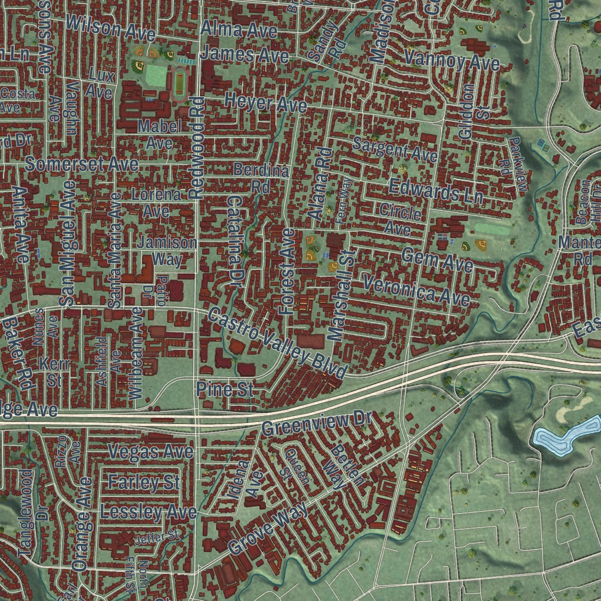 Close-up of the map of Castro Valley, California print showing street and building detail