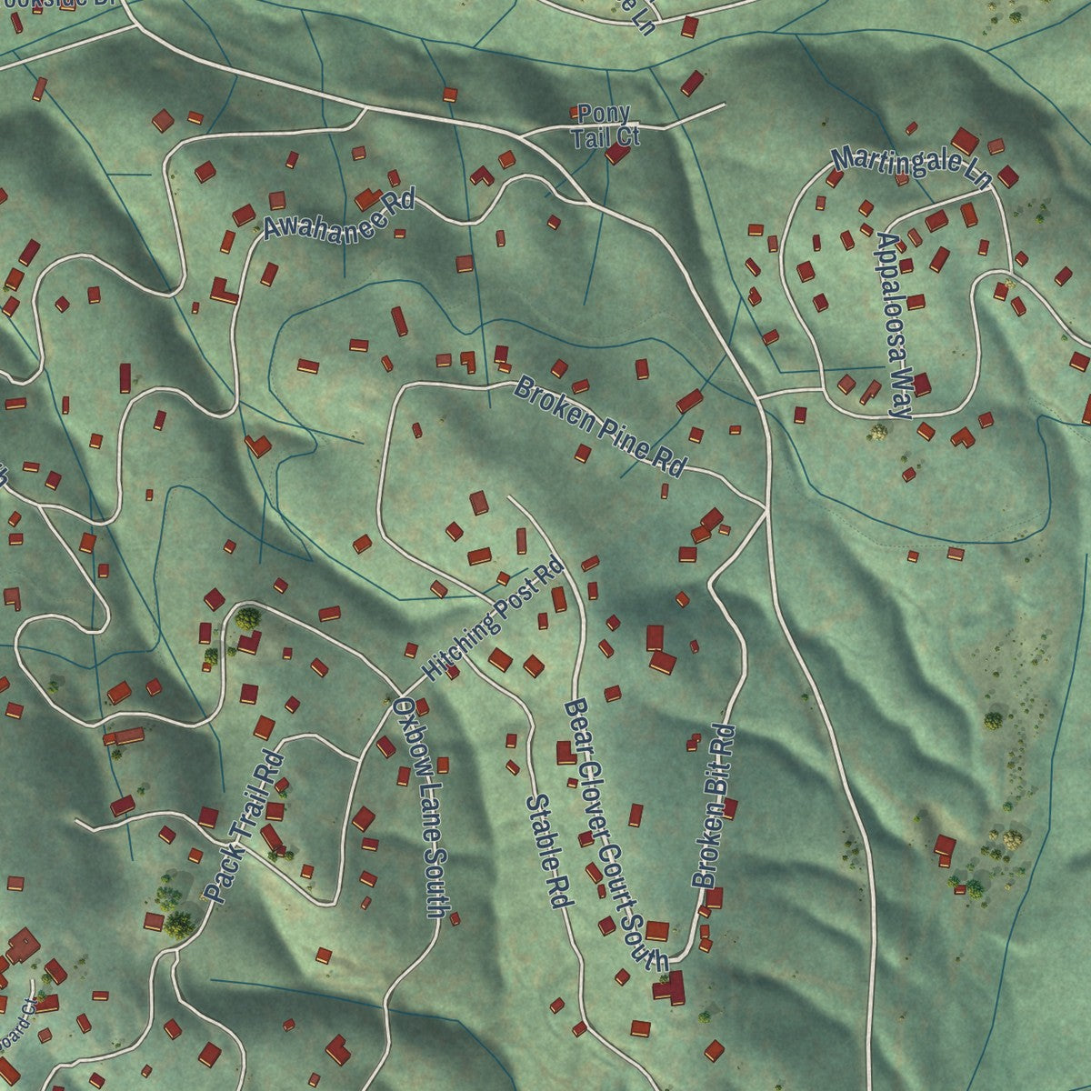 Close-up of the map of Cedar Ridge, California print showing street and building detail