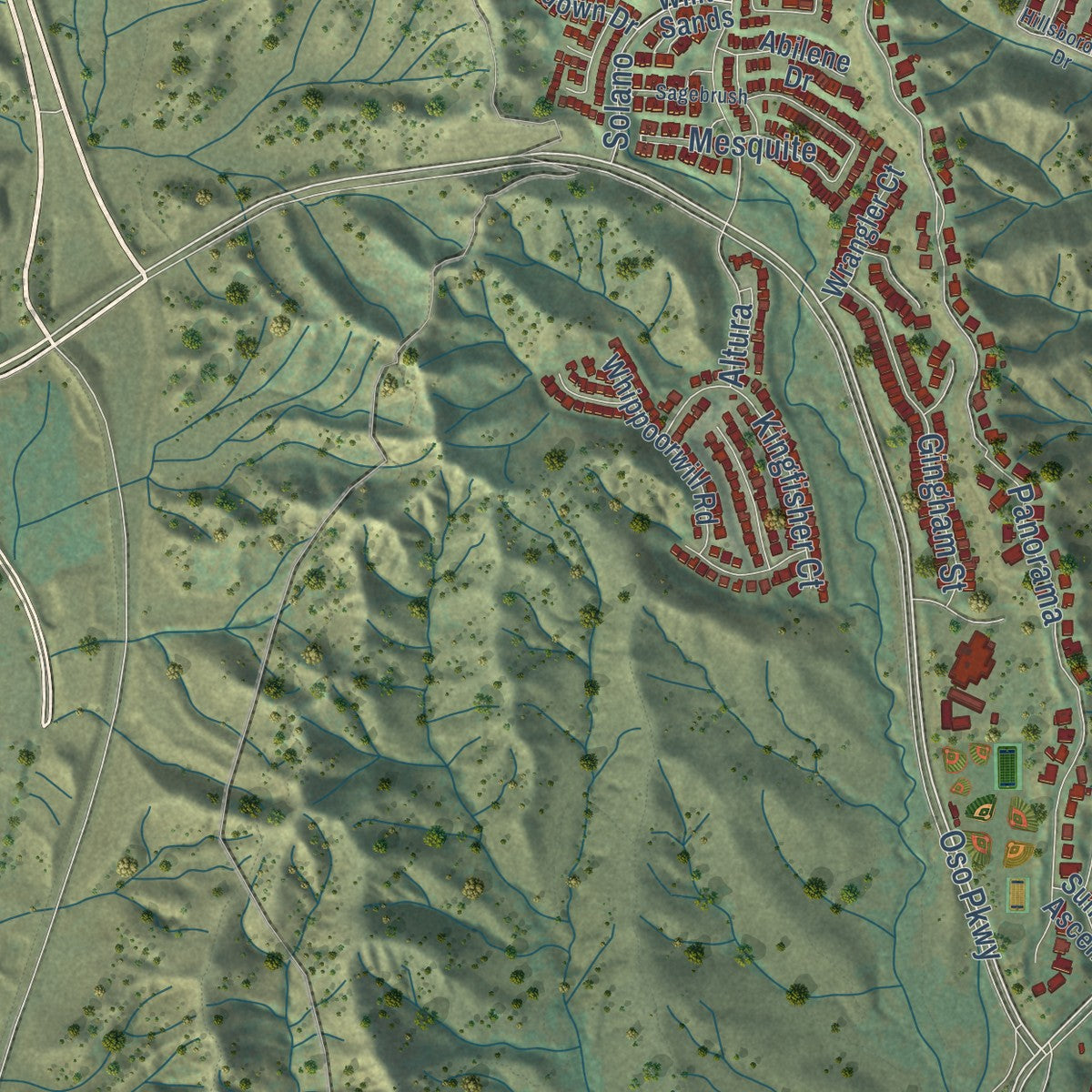 Second close-up of the map of Coto de Caza, California print showing more streets and buildings