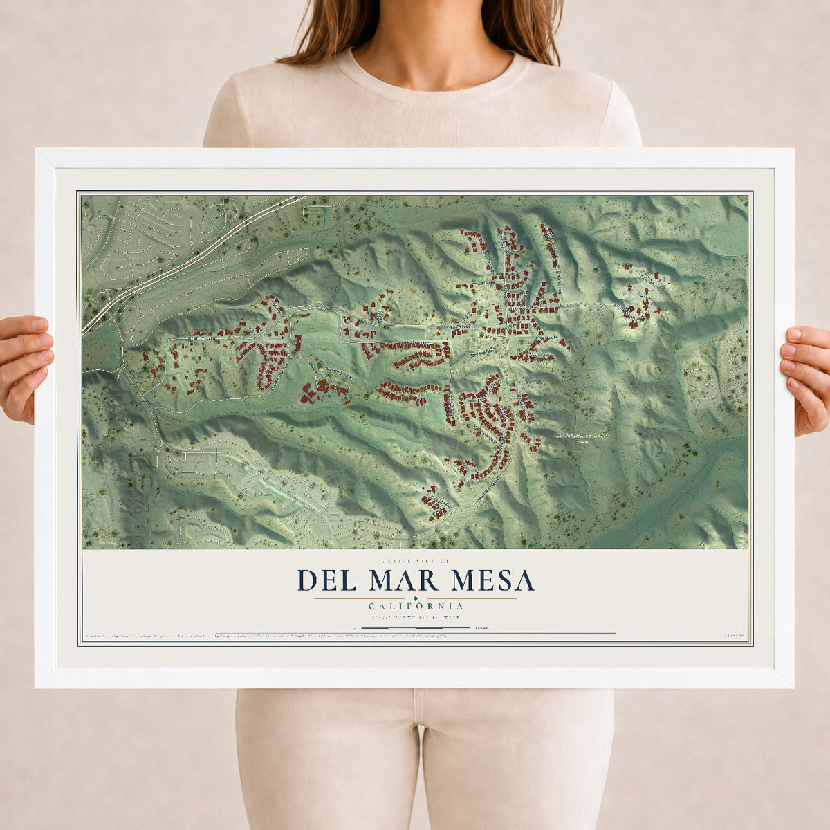 Map of Del Mar Mesa, California, 18 x 24 inch print in a white wood frame