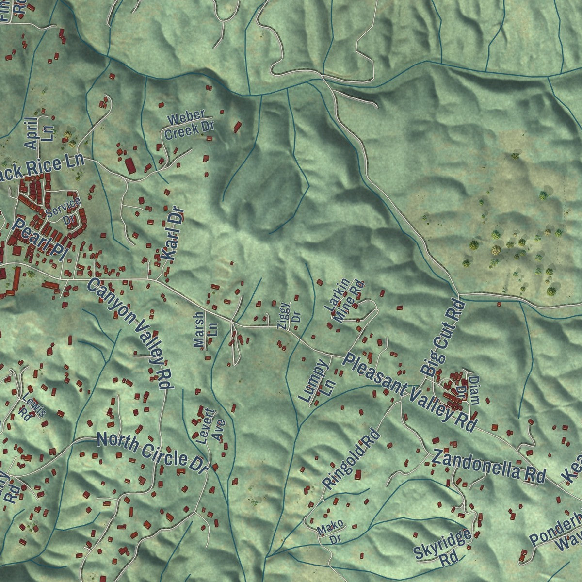 Second close-up of the map of Diamond Springs, California print showing more streets and buildings
