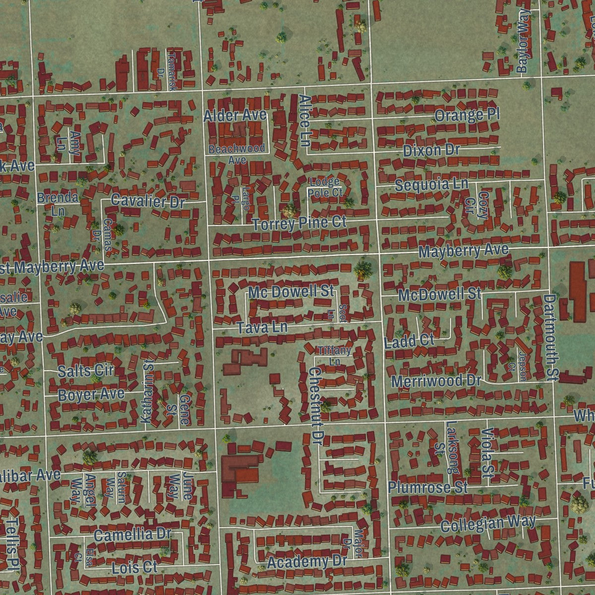 Close-up of the map of East Hemet, California print showing street and building detail