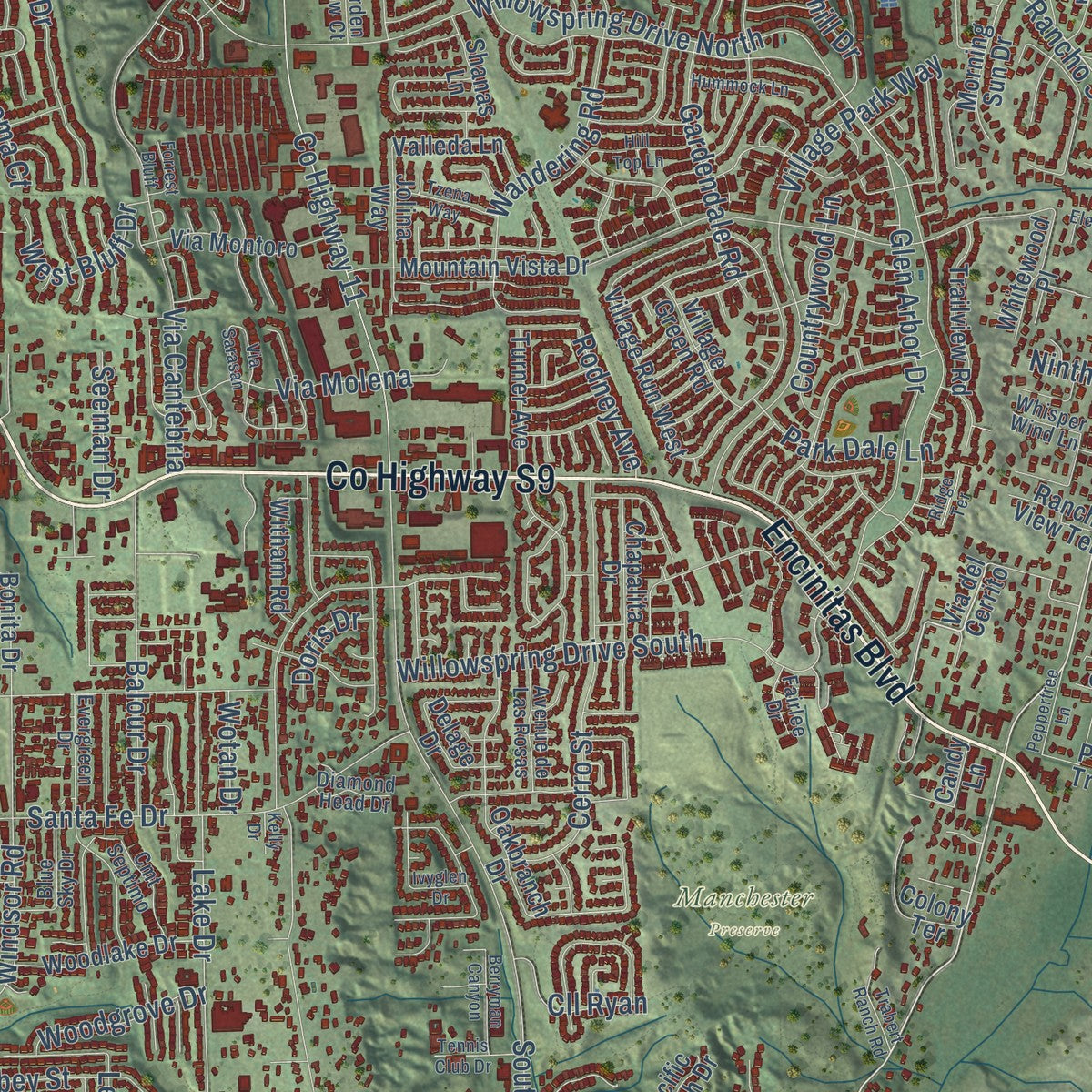 Close-up of the map of Encinitas, California print showing street and building detail