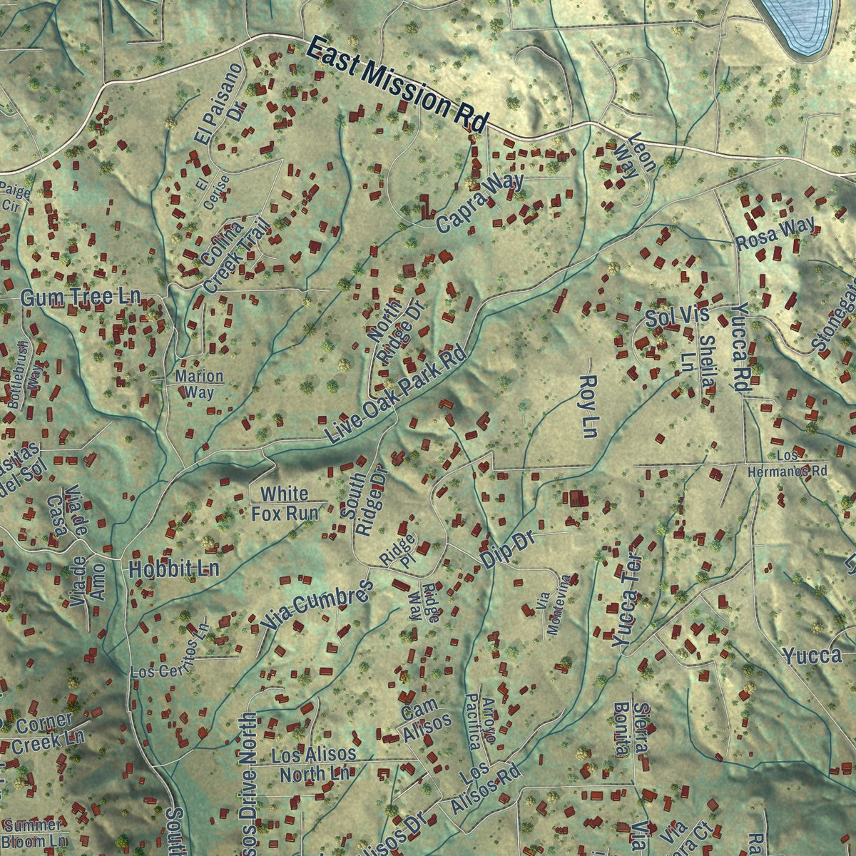 Second close-up of the map of Fallbrook, California print showing more streets and buildings