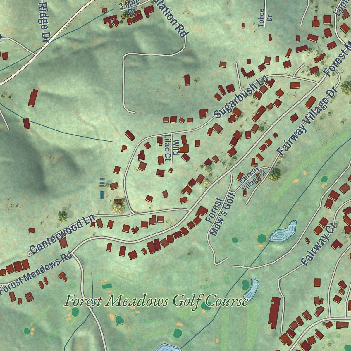 Close-up of the map of Forest Meadows, California print showing street and building detail