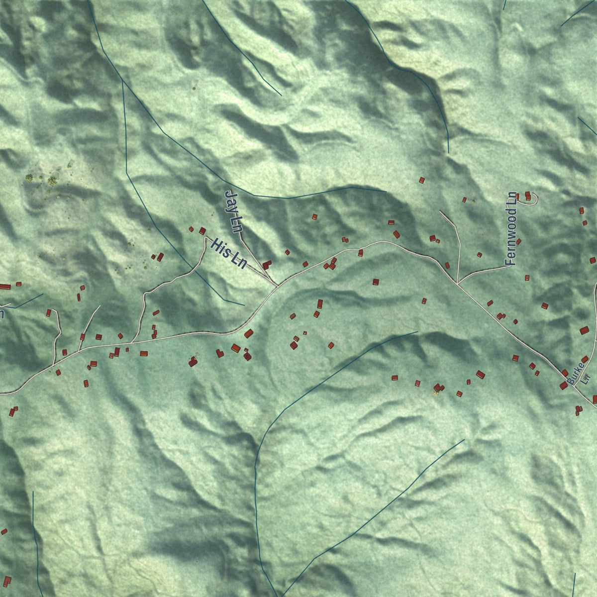 Close-up of the map of Freshwater, California print showing street and building detail