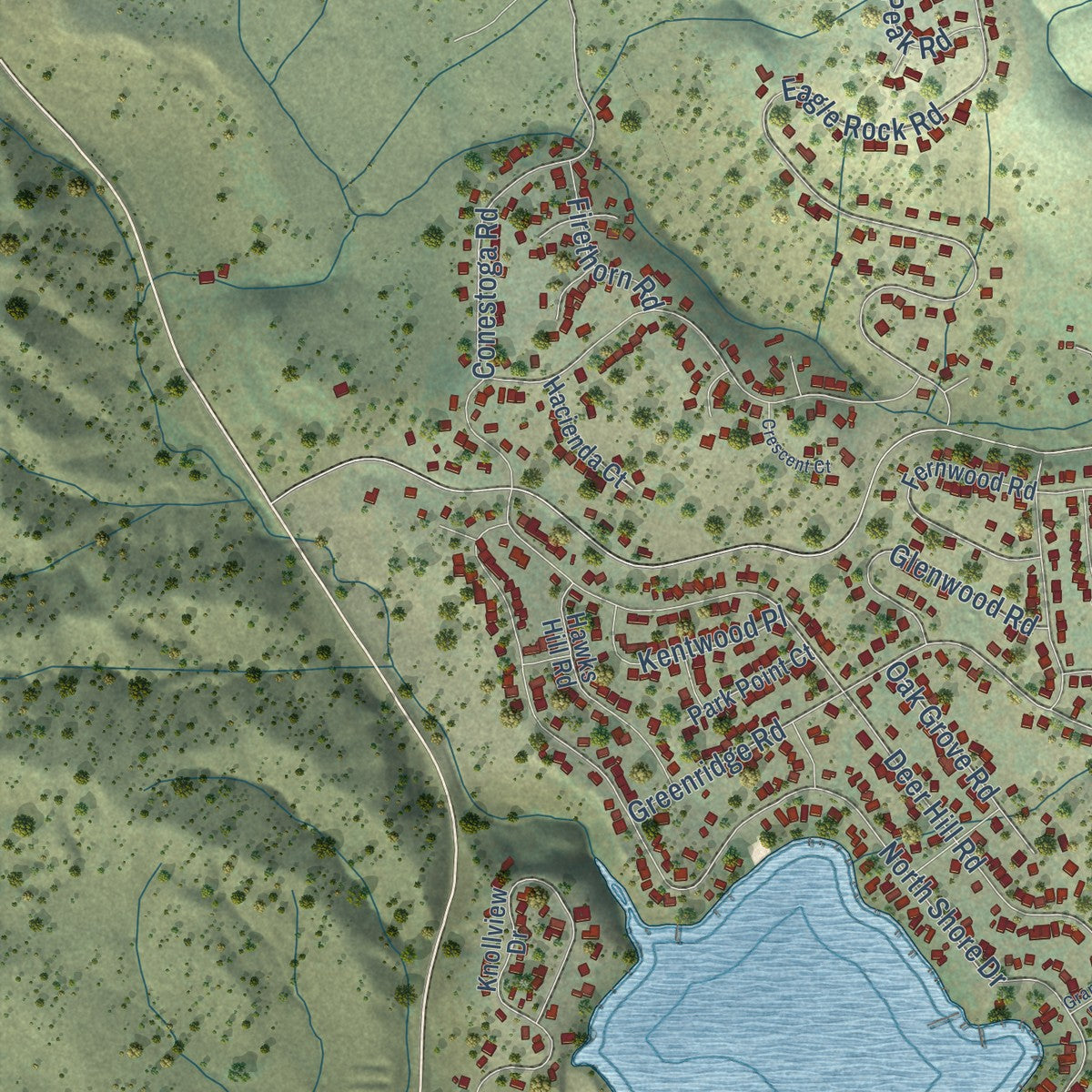 Close-up of the map of Hidden Valley Lake, California print showing street and building detail
