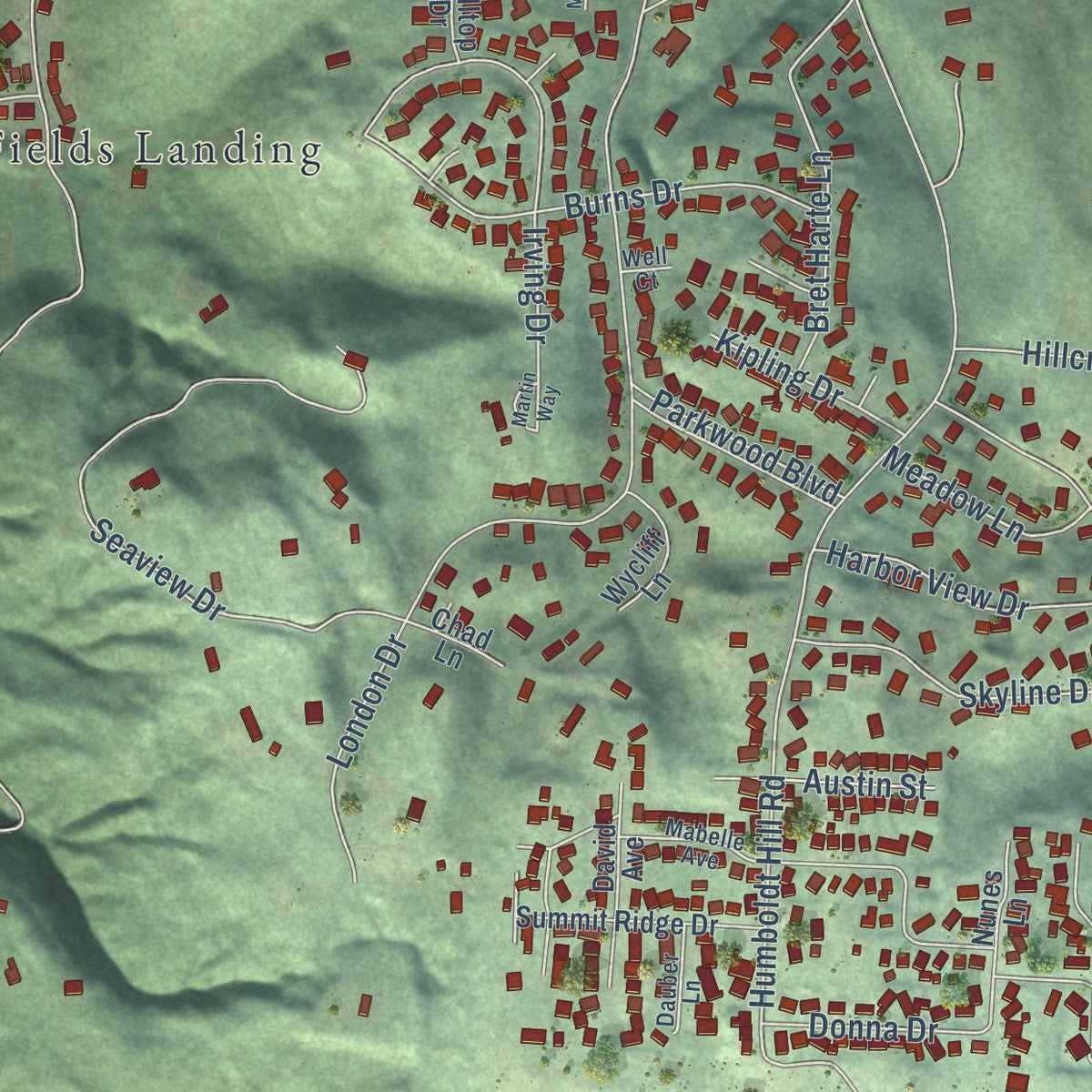 Close-up of the map of Humboldt Hill, California print showing street and building detail